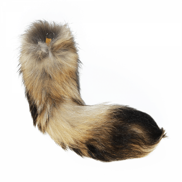 Queu de raton laveur