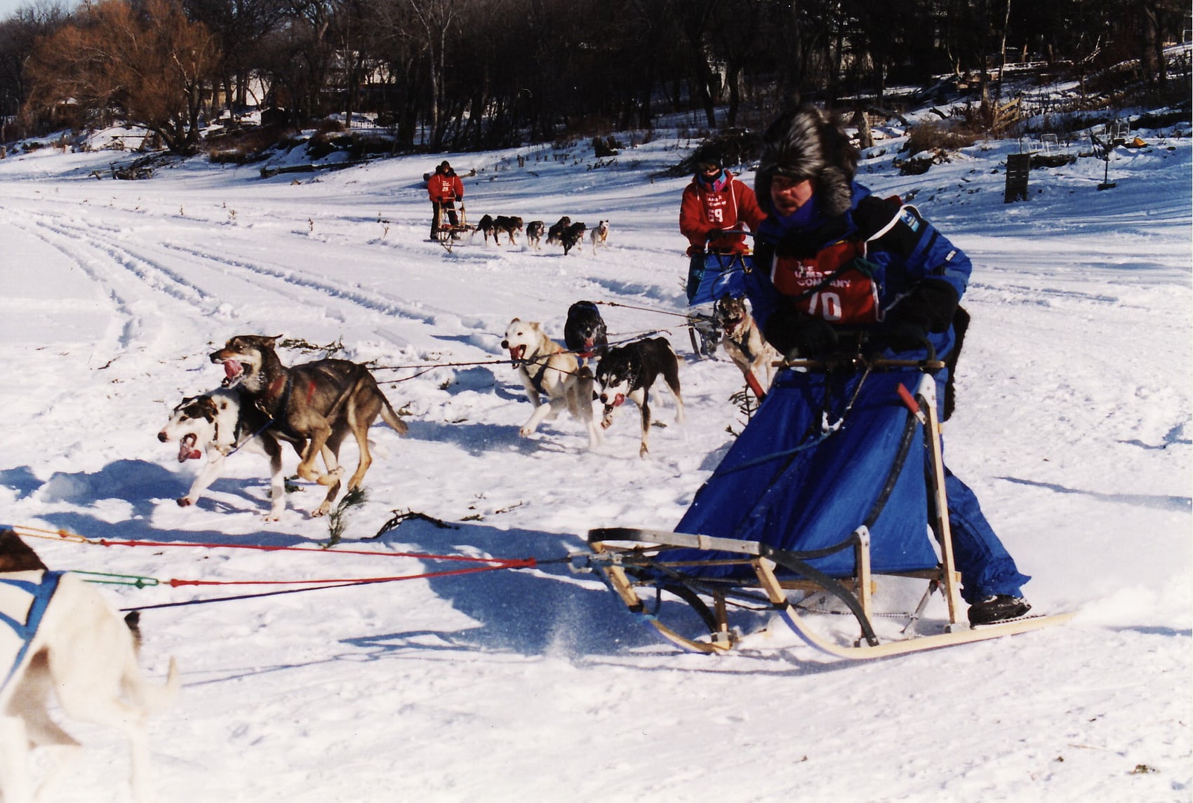 Featured image for “Le retour des chiens au Festival!”